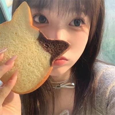 古宝2018海报